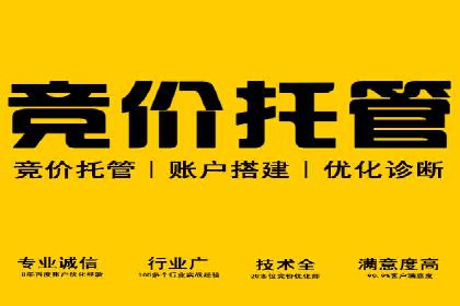 SEM优化师案例：精准定位，实现高效转化
